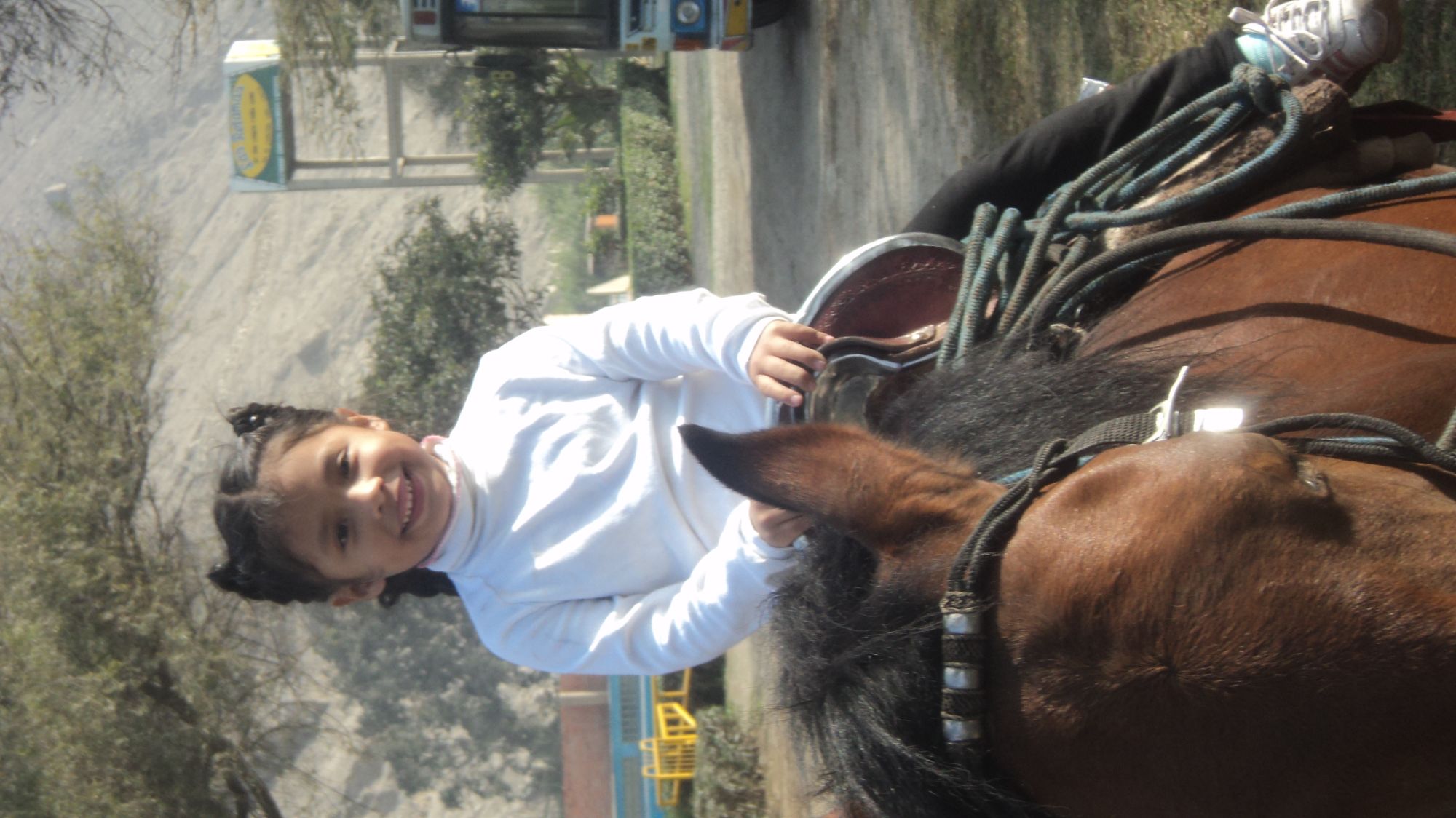 Mini foto de Alannis